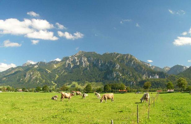 Jaegerhof Und Jaegerstadel شفانغو المظهر الخارجي الصورة